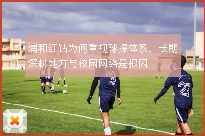 浦和红钻为何重视球探体系,长期深耕地方与校园网络是根因