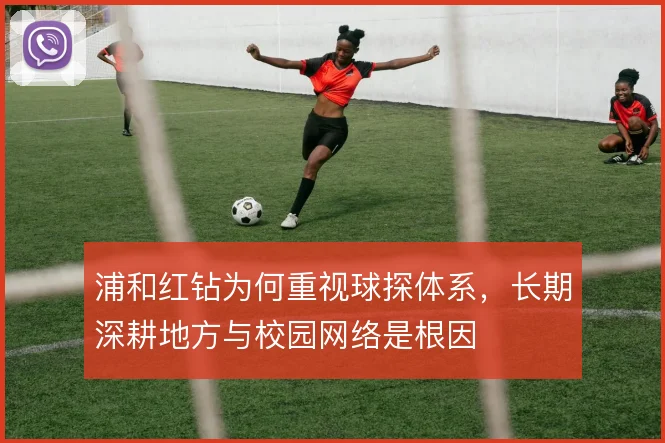 浦和红钻为何重视球探体系,长期深耕地方与校园网络是根因